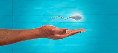 ThumbA sperm floats above an man's open hand.