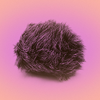 A-ball-of-fur-sits-against-a-pink-background