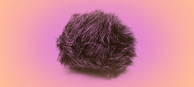 A-ball-of-fur-sits-against-a-pink-background