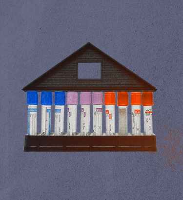 A row of test tubes form the walls of a house.