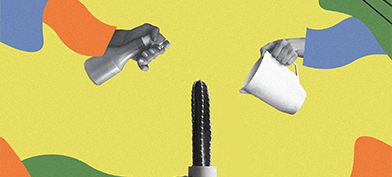 A-spray-bottle-and-cup-pour-on-fallic-cactus