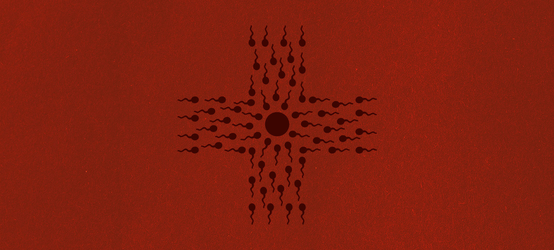 medical-cross-shape-sperm-leading-towards-embryo
