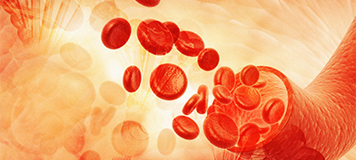 Blood cells pour out of a drawn blood vessel.