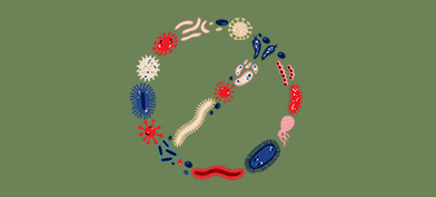 Various STD viruses form a circle with a line of through the middle.
