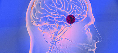 A pink x-tray of a brain has a red dot over the pituitary gland with a blueish background.