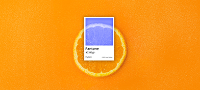 A Pantone color sheet for hymen is on top of a circle slice of orange.