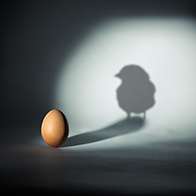 An egg under a spotlight casts a shadow of a chick against the wall.