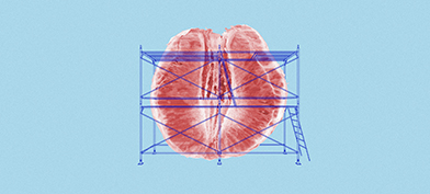 Half of an peeled grapefruit sits against a blue background with scaffolding around it.