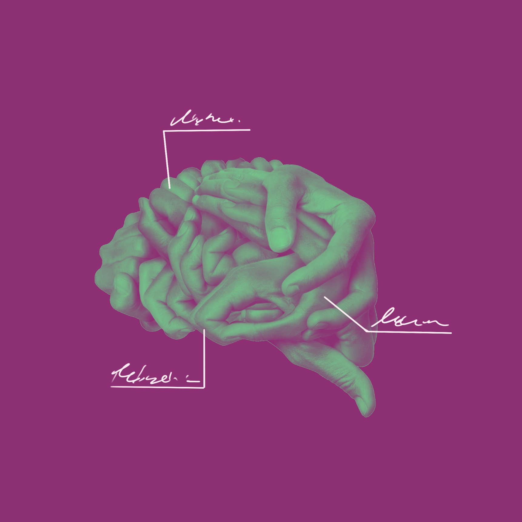 Intertwined hands with a green filter form the shape of a labeled brain on a purple background.