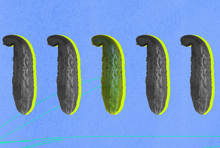 Five pickles are lined up in a row against a blue background with one side curving to the left.