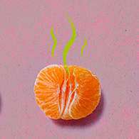 Three unpeeled tangerine halves lay in a row against a pink surface with green smell lines coming from the top.