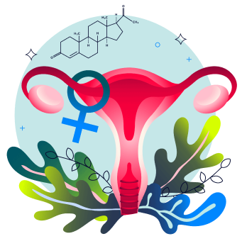 menopause-health-conditions