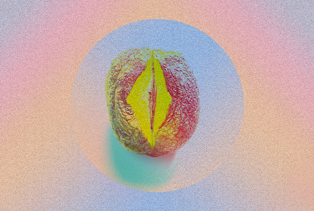 A shriveled peach is cut into and spread open slightly.