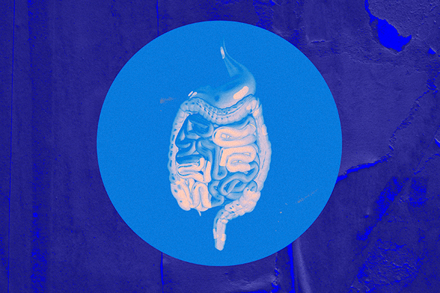 The digestive system is inside of a blue circle against a purple background.