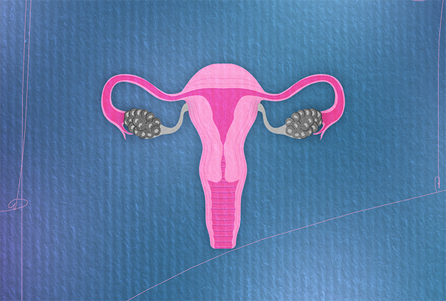 pink female reproductive system with ovaries in grayscale on blue textured background