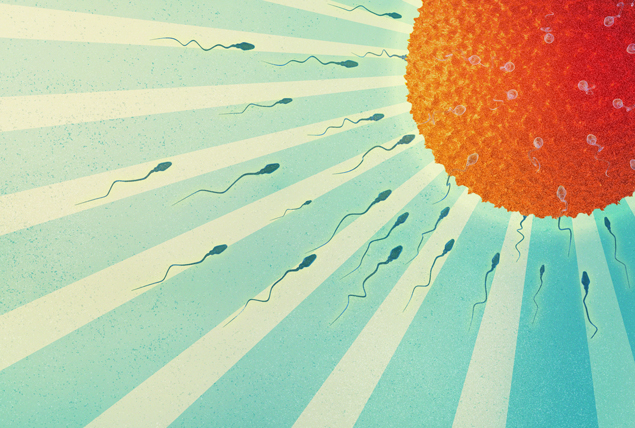 red human egg at the sun with yellow sunbeams with blue sperm swimming towards it