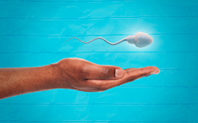 ThumbA sperm floats above an man's open hand.