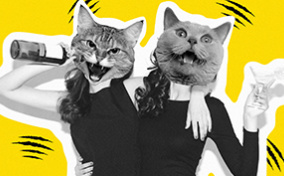 two-cat-heads-atop-womens-bodies-partying
