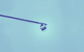 A needle has a little drop of liquid on the end holding a baby.