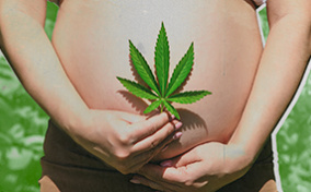 A person holds a weed leaf over their pregnant belly. 